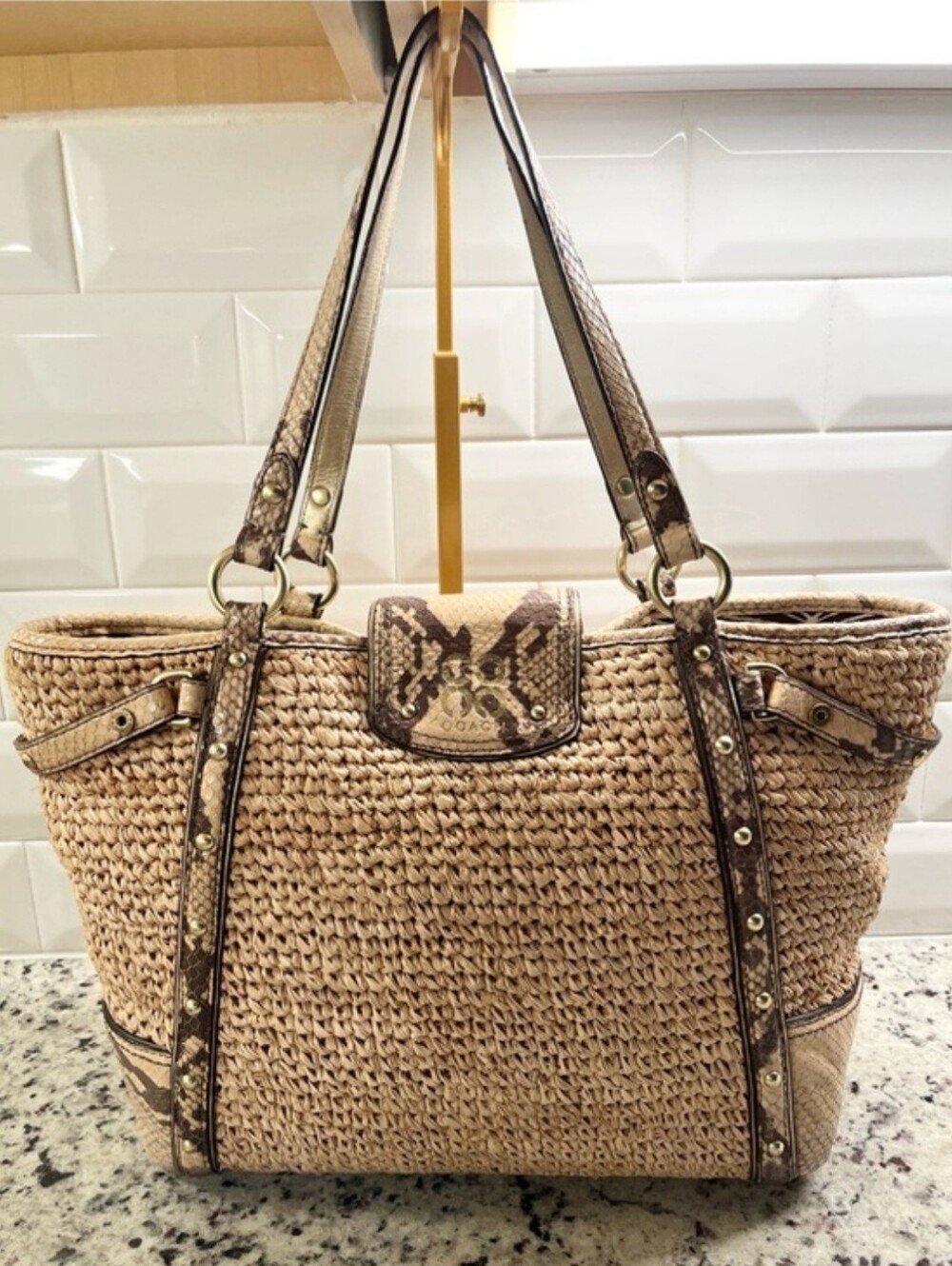 Coach Natalie Python & Raffa Tote - Picture 4 of 16